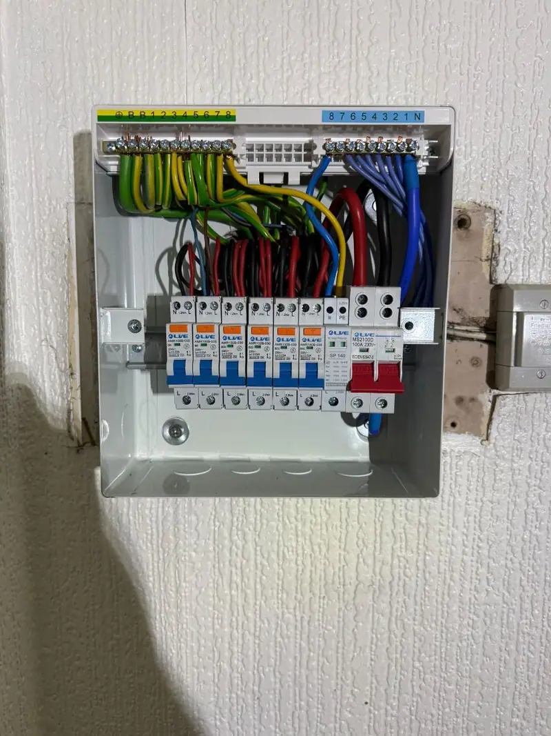 Neatly dressed wiring in a new consumer unit, typical of the group's finish